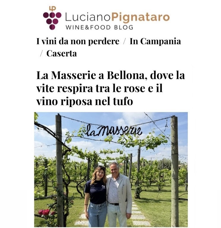 La Masserie a Bellona, dove la vite respira tra le rose e il vino riposa nel tufo